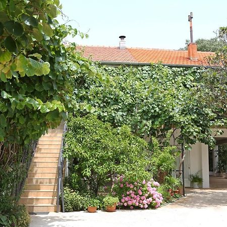 Apartments With A Parking Space Bibinje, Zadar - 18843 外观 照片